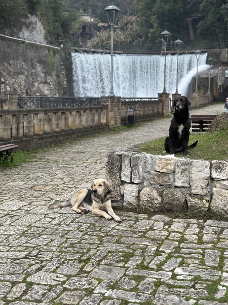 Спасибо Амине и Самвеллу за прекрасно проведенный день! В день нашей экскурсии немного не повезло с