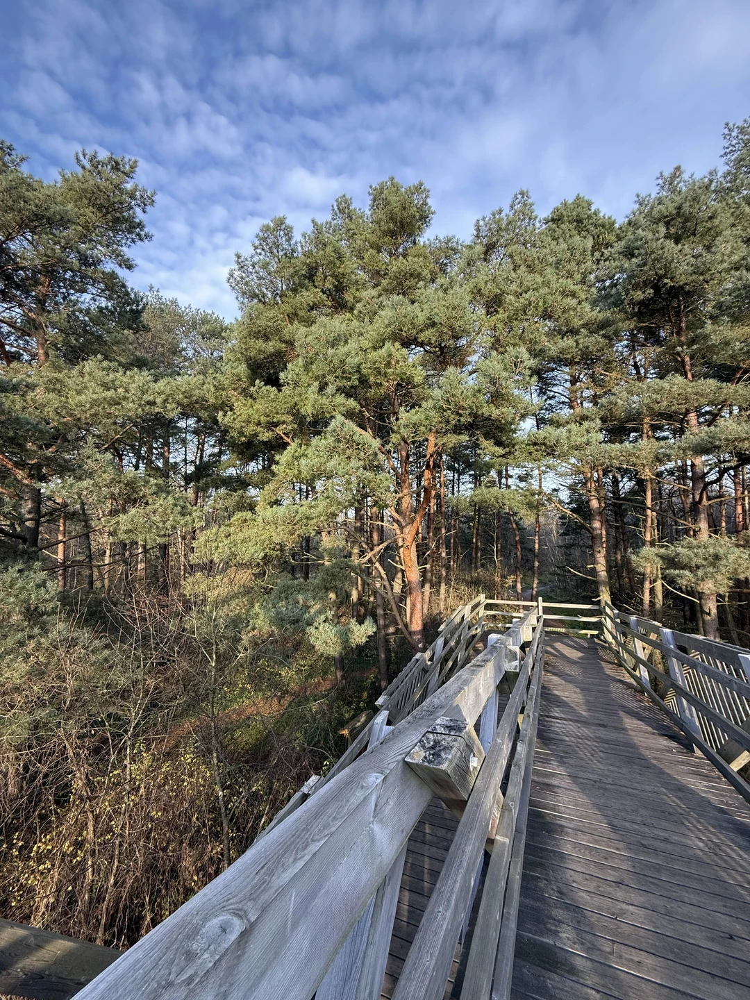 Сказать, что мы с подругой остались довольны экскурсией - не сказать ничего! Это восторг! Наш гид