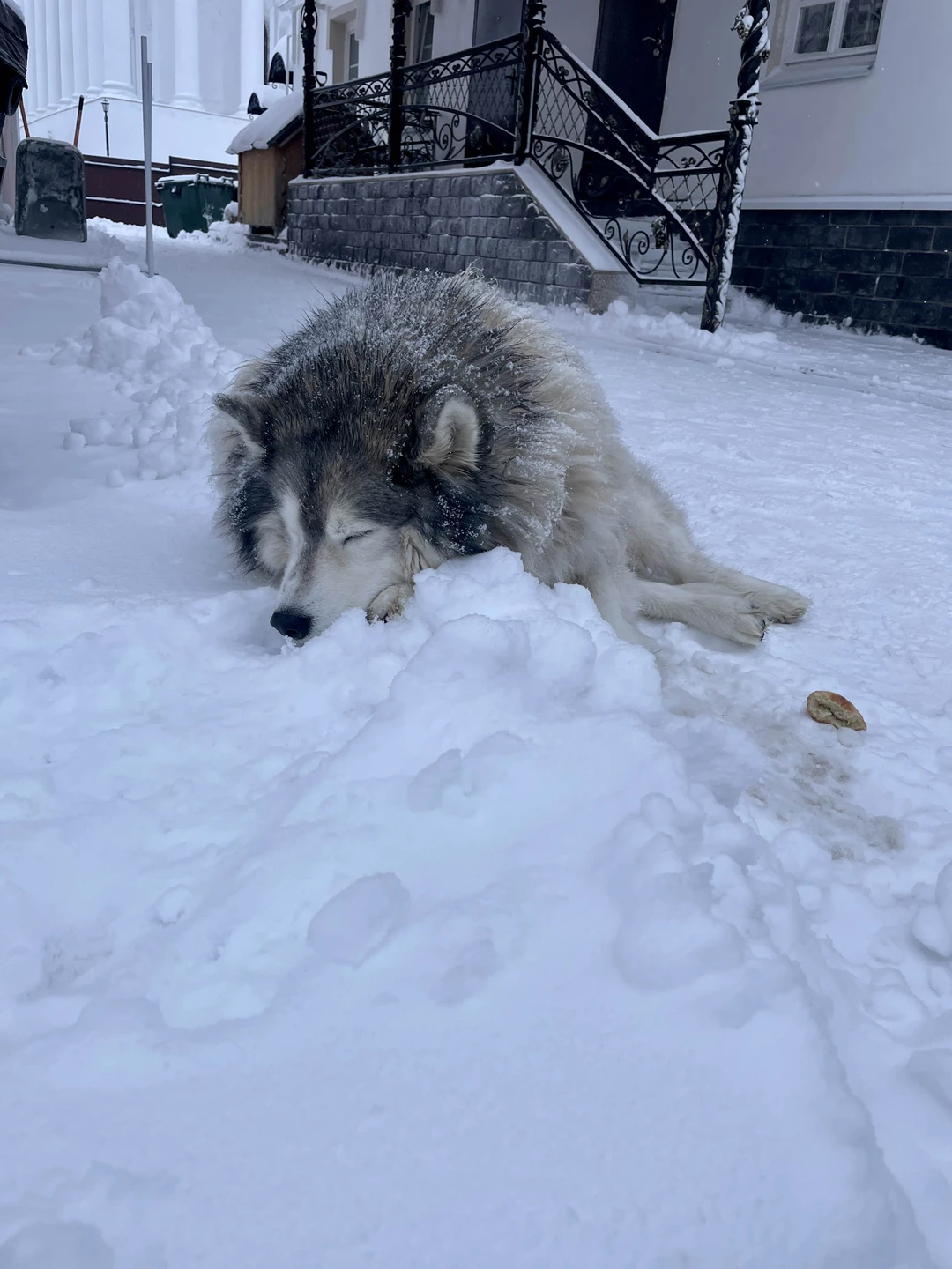 Побывали сегодня впервые в чудесном городе Арзамас. Благодаря нашему гиду Юлии мы влюбились в этот невероятный