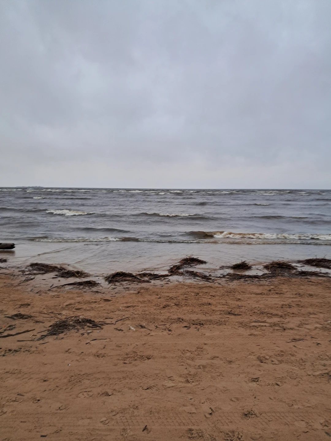 Уютный дачный Сестрорецк (Виолетта)