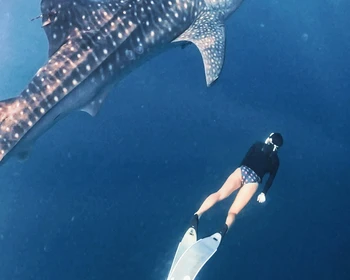 Сумбава: прибытие и знакомство с островом