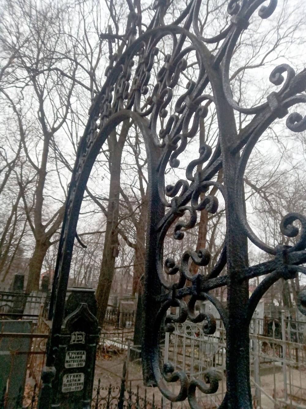 Тайны воронежского некрополя (6/7)