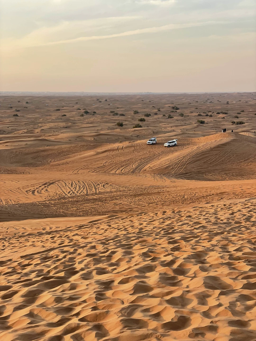 Водитель приехал вовремя, покатались по красивой пустыне на закате, затем, поехали в деревню, посмотрели шоу, бесплатно