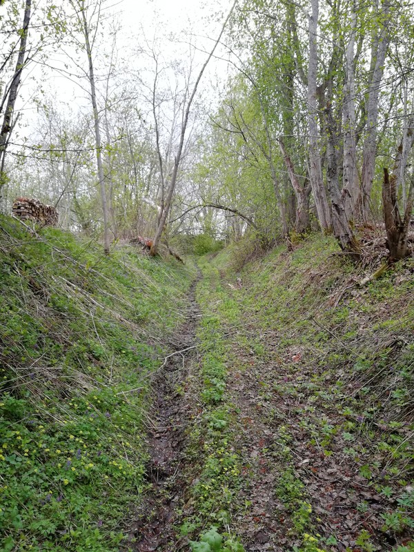 Фото экскурсии 9