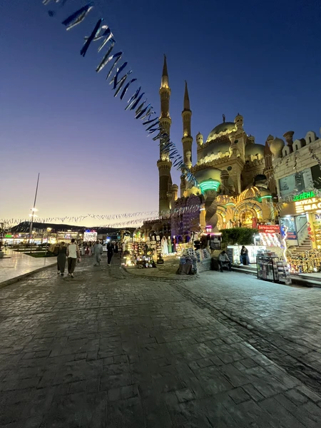 у Анастасии мы брали экскурсию в Фарша, ее муж Лоай нас встретил, все прошло гладко и