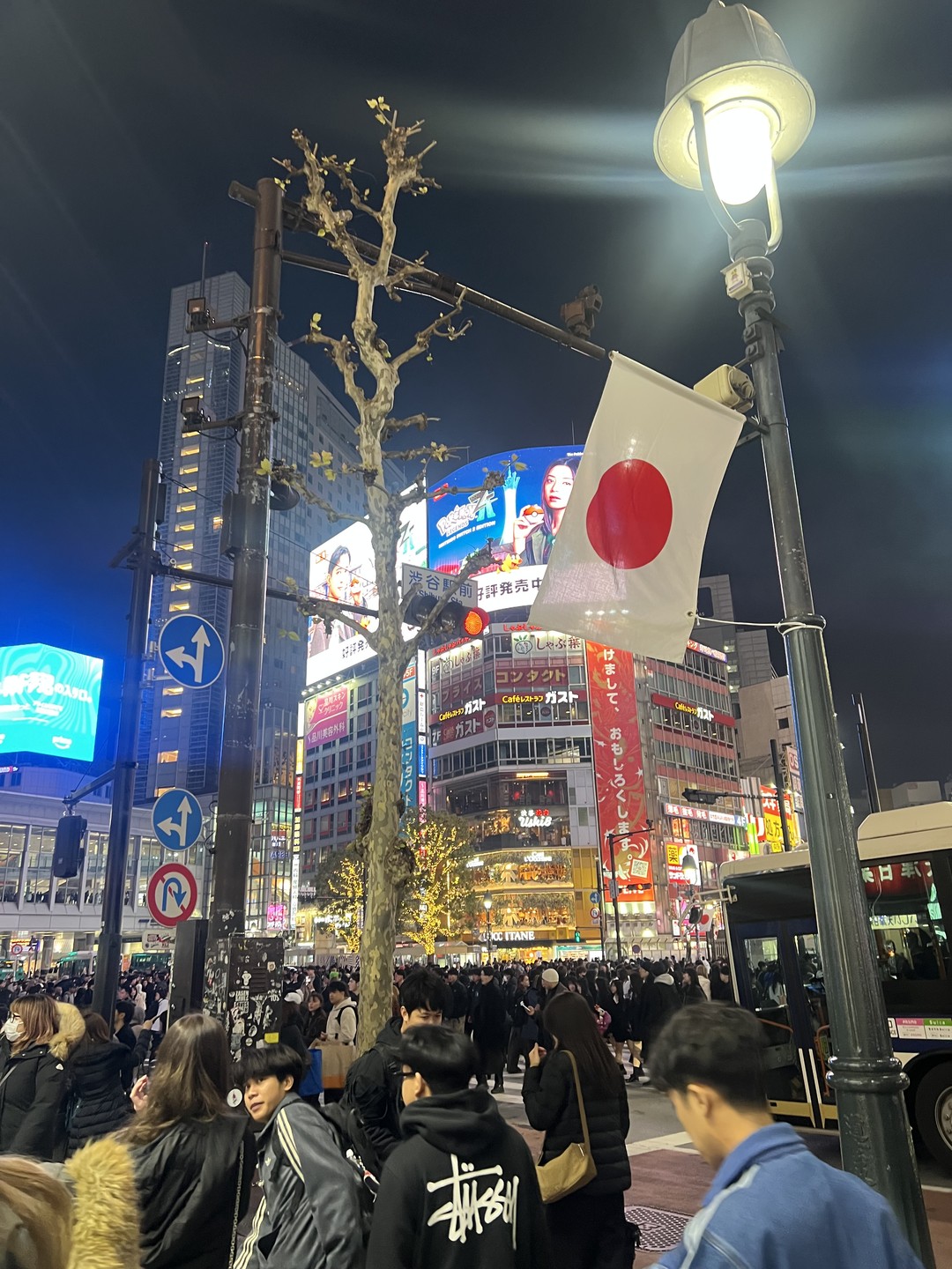 Токио сквозь века: от древних стен до современных башен (Алина)