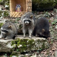 Фото отзыва 6: экскурсия ""