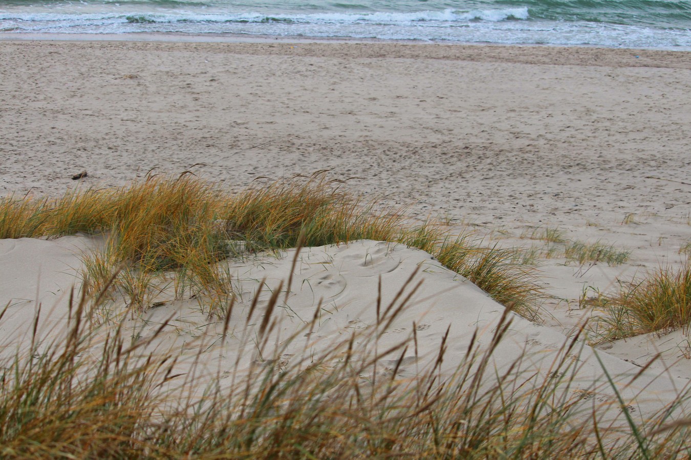 Дом куршей - Куршская коса