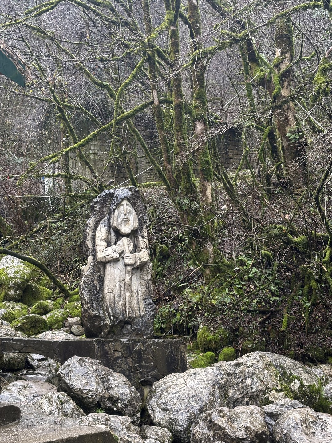 Волшебными дорогами к Рице из Сочи (Ирина)