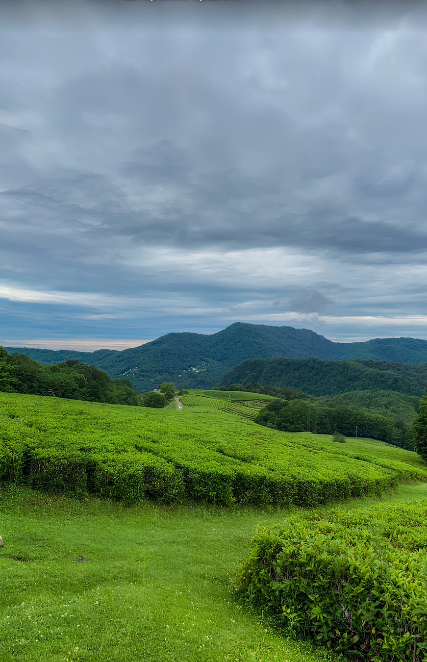 Долина реки «Огненная» (23/31)