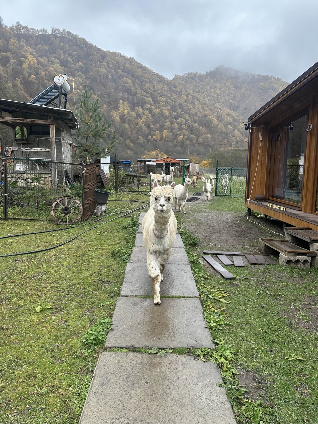 Спасибо огромное Сергею за отличную экскурсию!