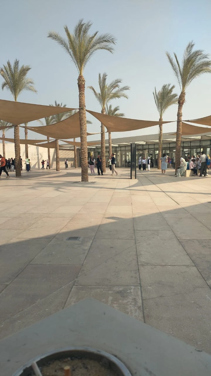 Очень мало, кто предлагает экскурсию с посещением Нового музея, но благодаря Трипстеру организатор был найден! Большое вам спасибо