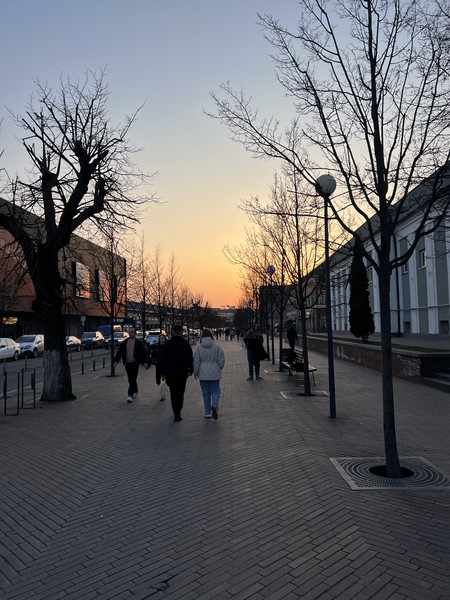 7 районов г. Калининград пройдены! ✅ Ура! я нашла недостраюших в моем личном квесте хомлинов. Андрей