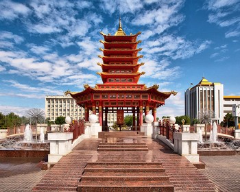 Фото отзыва 3: авторский тур "Цветущая Калмыкия и Баскунчак: море тюльпанов и пустыня, розовые озёра и гора Большое Богдо"