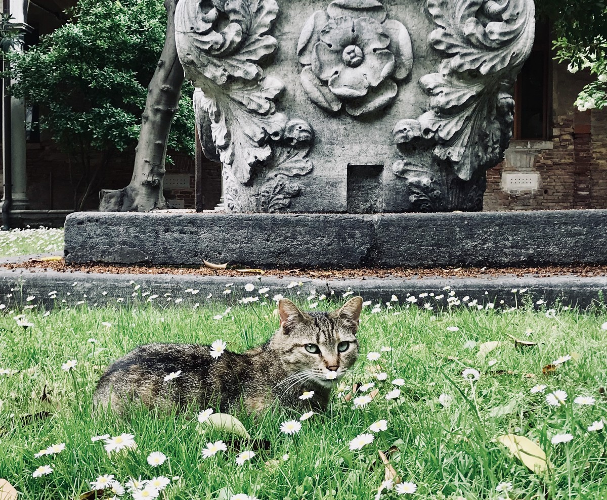 Фото Скрытая Венеция