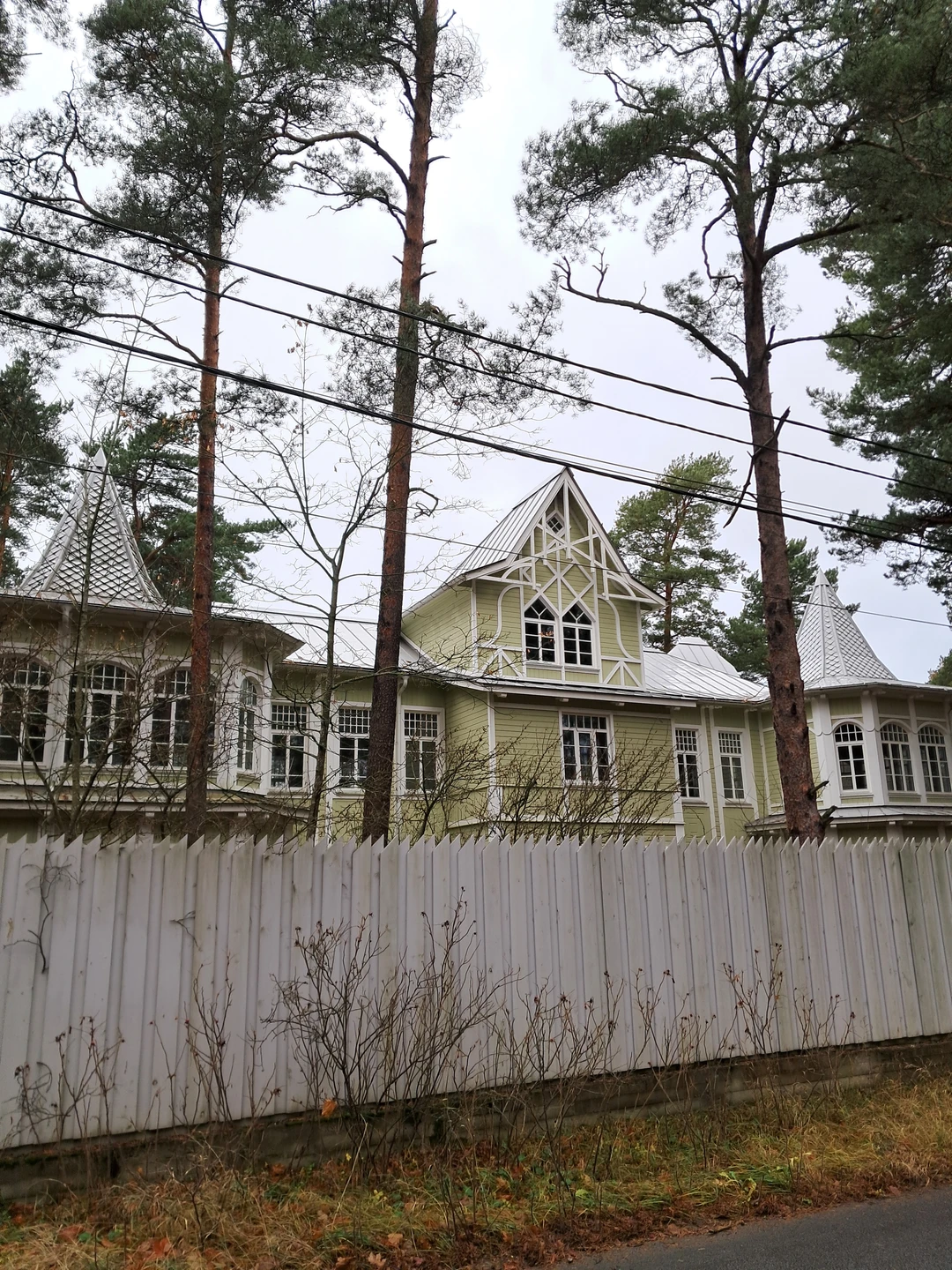 Уютный дачный Сестрорецк (Виолетта)