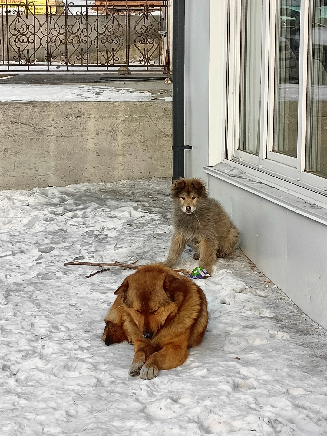 Михаил, наш гид, показал нам множество красивых и удивительных мест: мы налюбовались видами на залив Култук