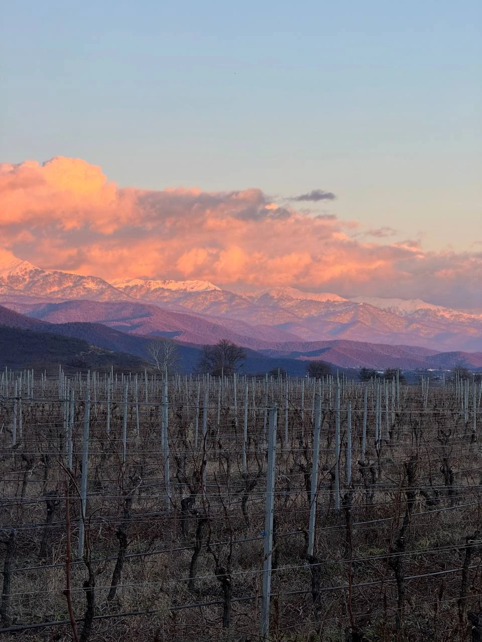 Очень красивый маршрут с интересным гидом, всегда готовым поддержать разговор или поделиться знаниями истории Грузии и региона