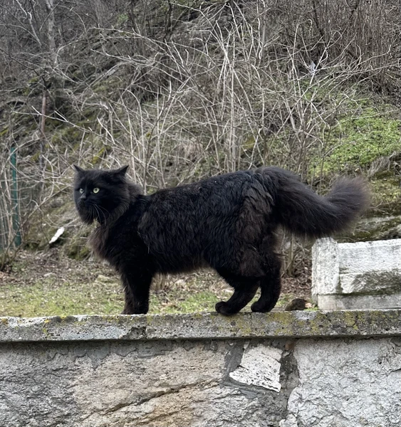 Были на экскурсии 23 февраля. Экскурсия понравилась! Александр, не только профессионал, но и очень любит свой