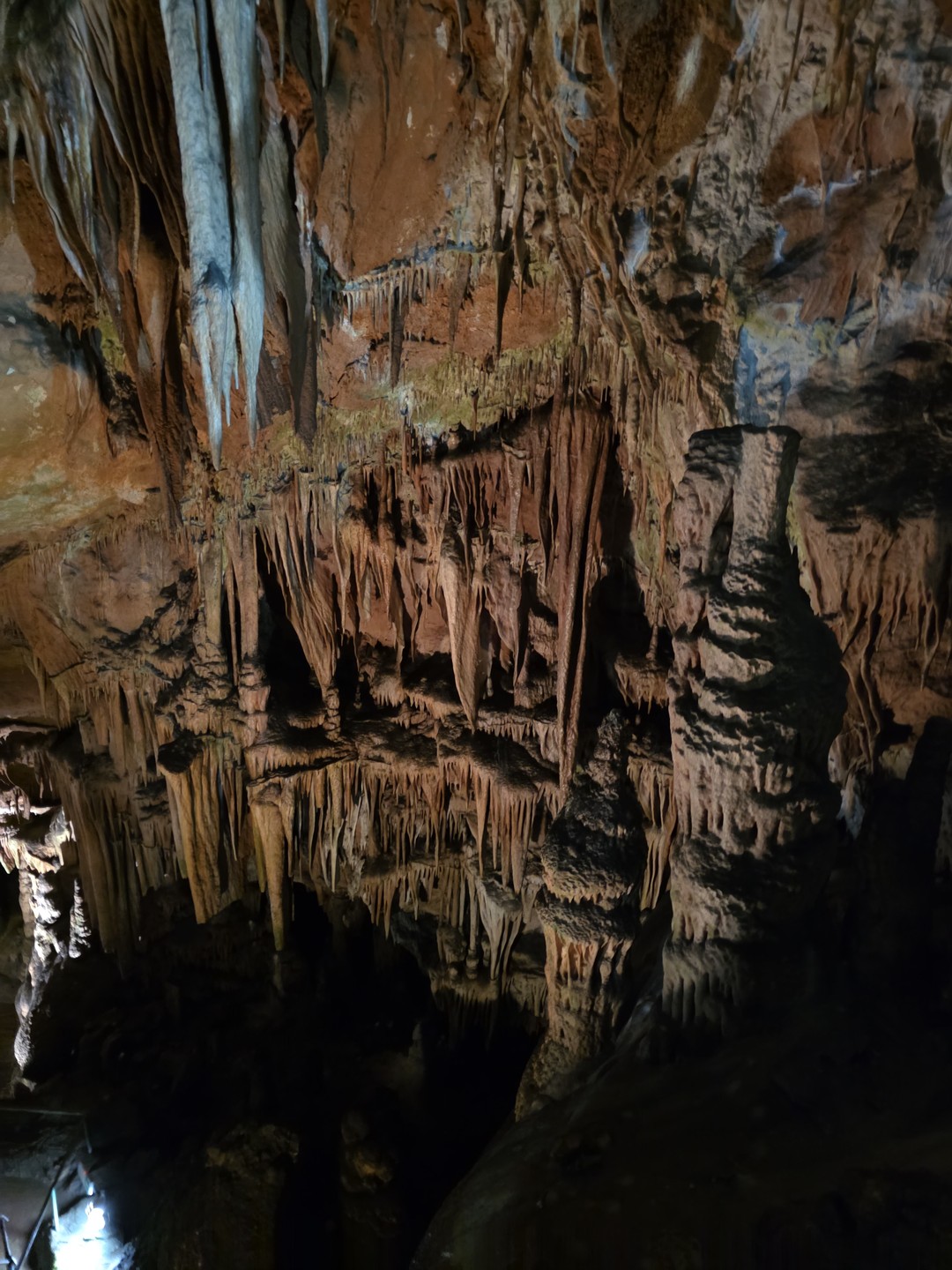 Прекрасное сопровождение! Долгая поездка была комфортной. Вам предложат "зеленые остановки", есть вода в машине для каждого