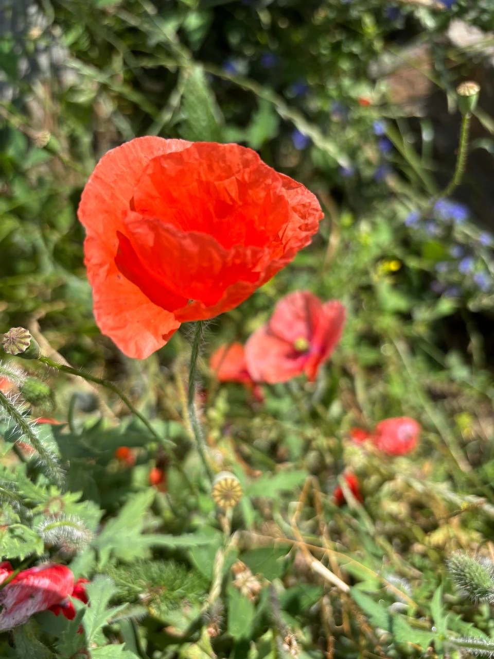 Были в Кисловодске на фотоэкскурсии с Аленой и Константином