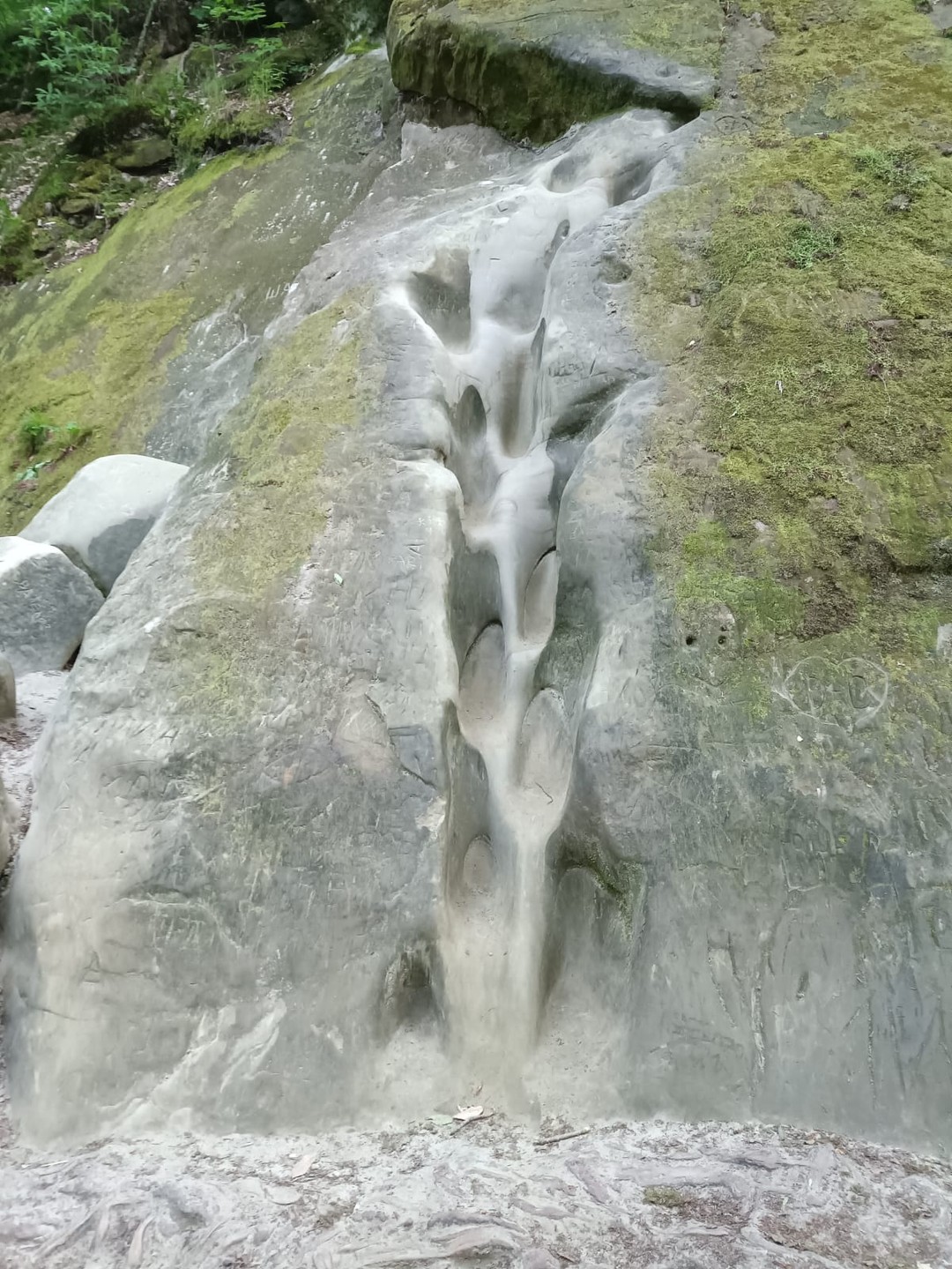 На экскурсии "Из Краснодара к отрогам большого Кавказа" были двое взрослых 23 мая 2025 с проводником