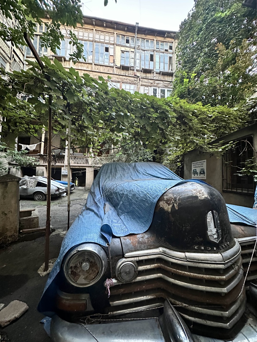 Потрясающе! Приятно, когда экскурсию проводит не только знаток города, но опытный искусствовед и человек, который любит