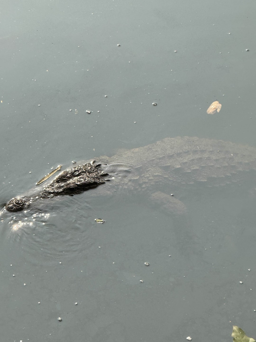 Прекрасно провели время на экскурсии! Валентине огромное спасибо за увлекательный рассказ — узнали много нового и