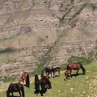 Отзыв о экскурсии "Горный Дагестан вместе с местным жителем" — фото 4