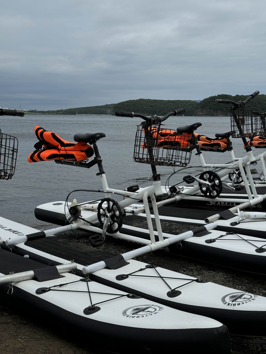 Морская прогулка на водном велосипеде в мини-группе (Ирина)
