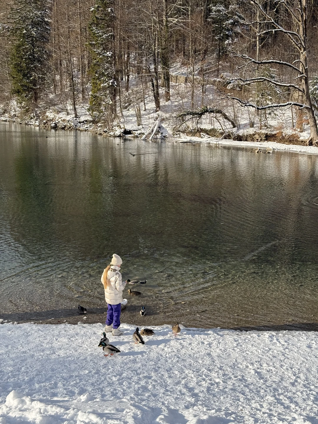 Сегодня были на экскурсии с Деяном. Это было одна из лучших экскурсий у нас за последнее