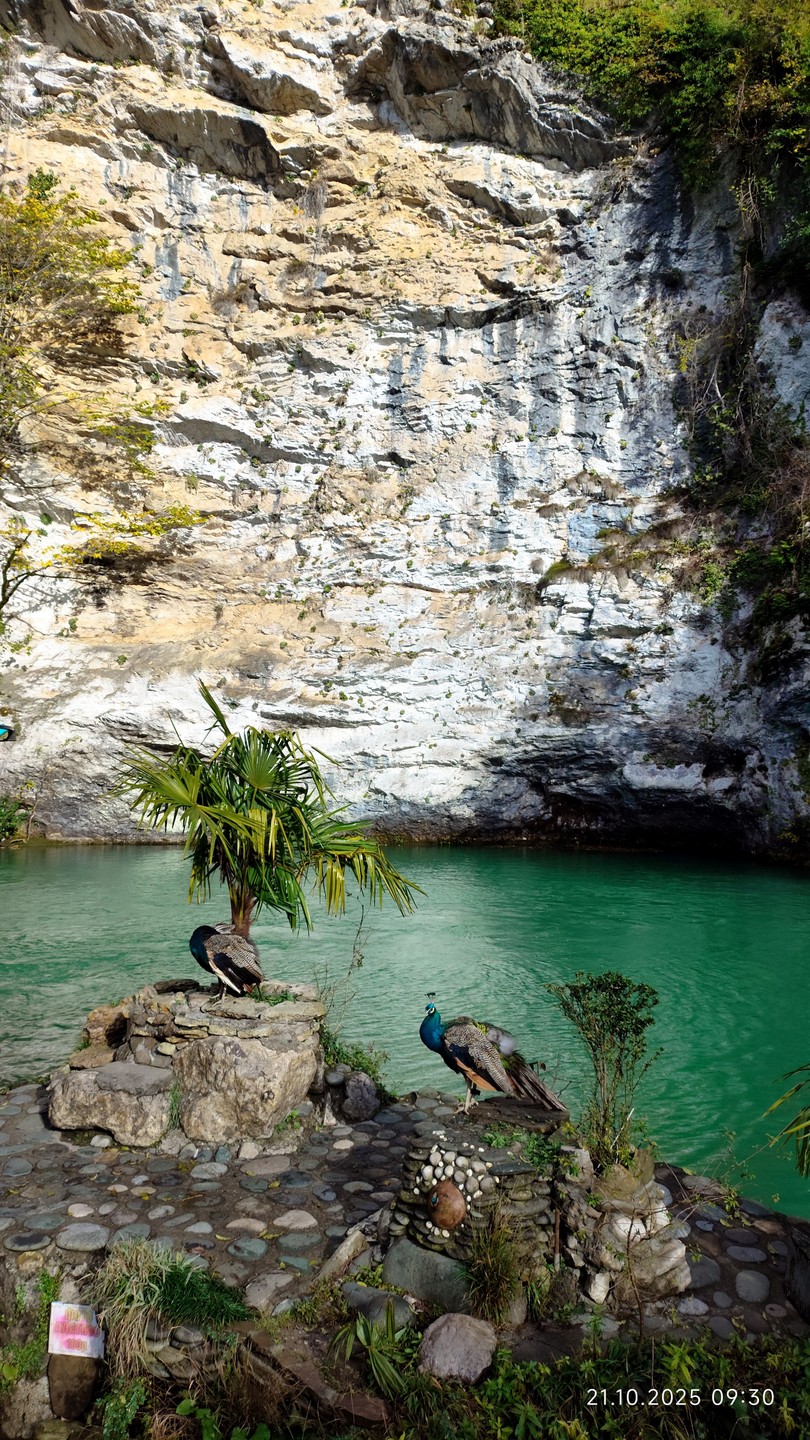 Все очень понравилось, спасибо Экскурсоводу Виктории и водителю Андрею. Очень интересно, красиво, безопасно. Есть дополнительные расходы