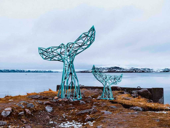 Морская прогулка и удивительные места Териберки