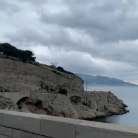 reviews img