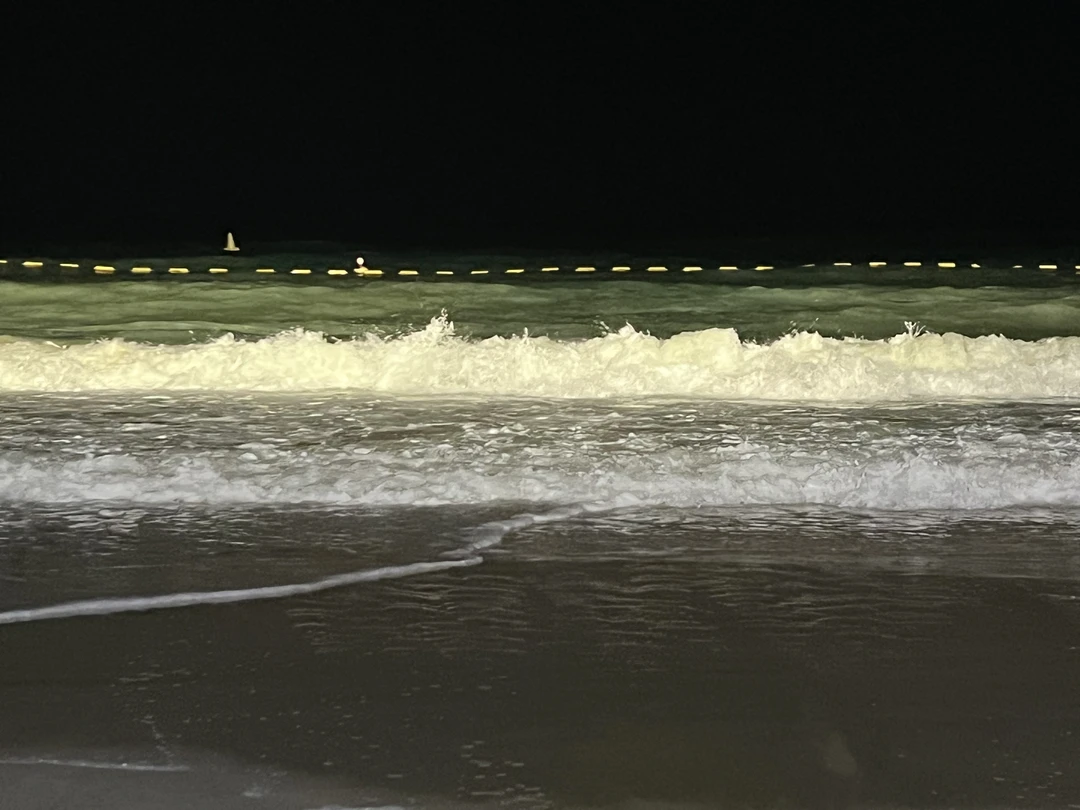 Экскурсовод Артур очень позитивный, отзывчивый, излучающий свет, любящий Дубай и своё дело человек! Прекрасная речь, много