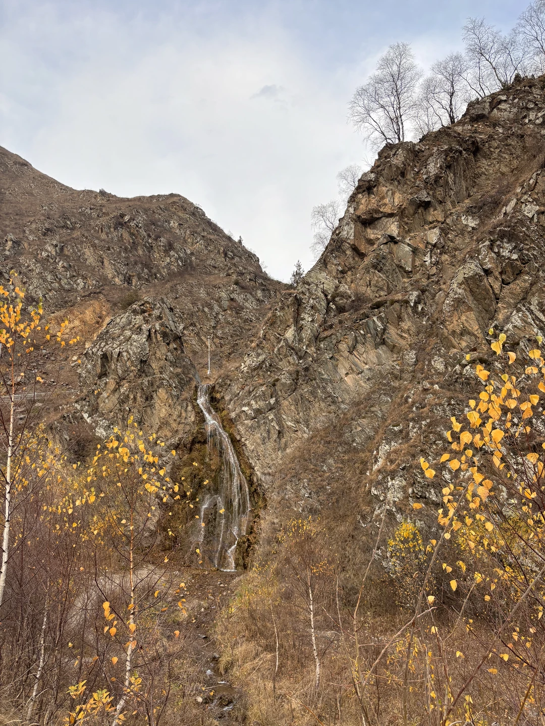 Отличная дорога, комфортная машина с профессионалом за рулем и красота вокруг) По организации все супер: на