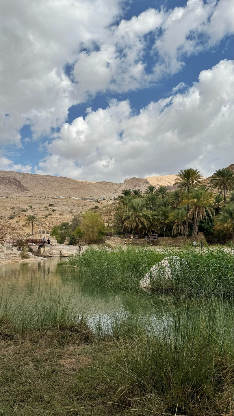 Пустыня Вахиба и оазис Вади Бани Халид (Tatiana)