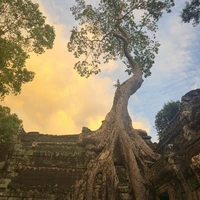Фото отзыва 1: экскурсия "Храмы Ангкора"