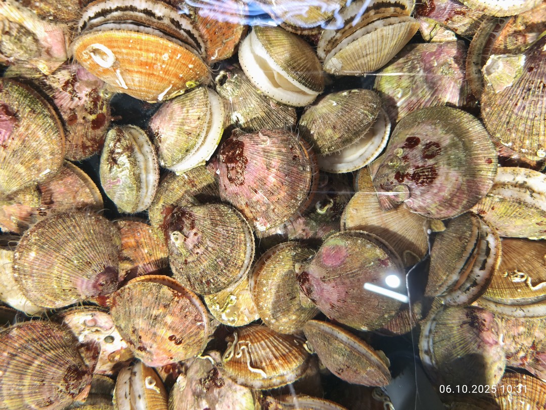 Всё понравилось. По пути гид Никита рассказывал много интересного о городе, области и Териберке