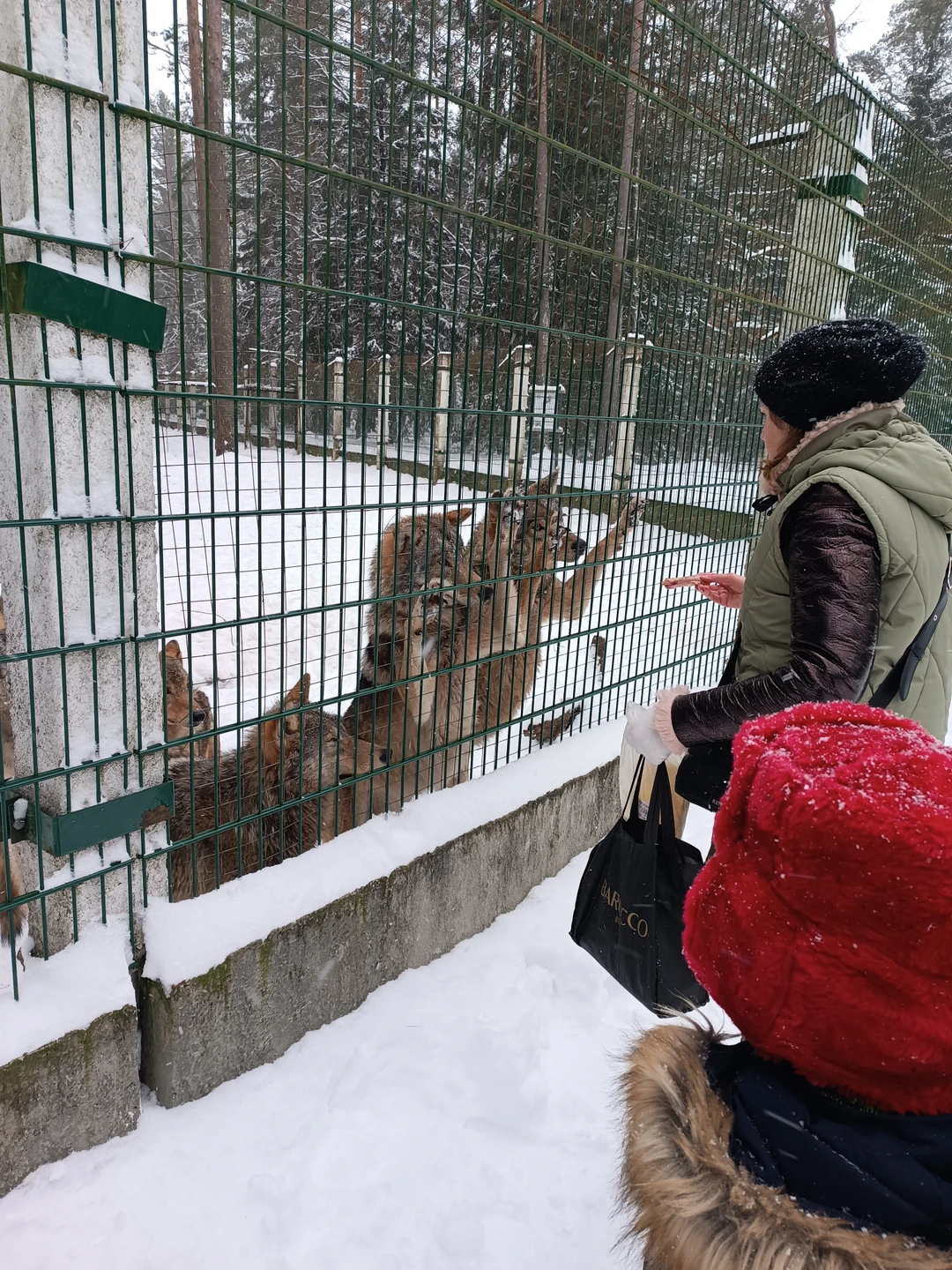 Хочется поблагодарить за прекрасный проведённый день в Беловежской пуще. Жанна очень интересно рассказывает, ребенок 7 лет слушал с удовольствием