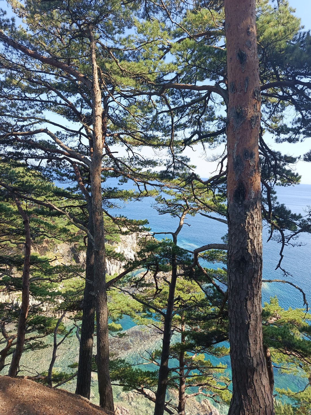 Ездили с гидом Екатериной, это очень круто!!! Непроходимая дорога была ей не почем! Довезла с ветерком