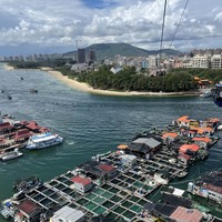 Фото отзыва 2: экскурсия "Остров обезьян: путешествие из Санья"