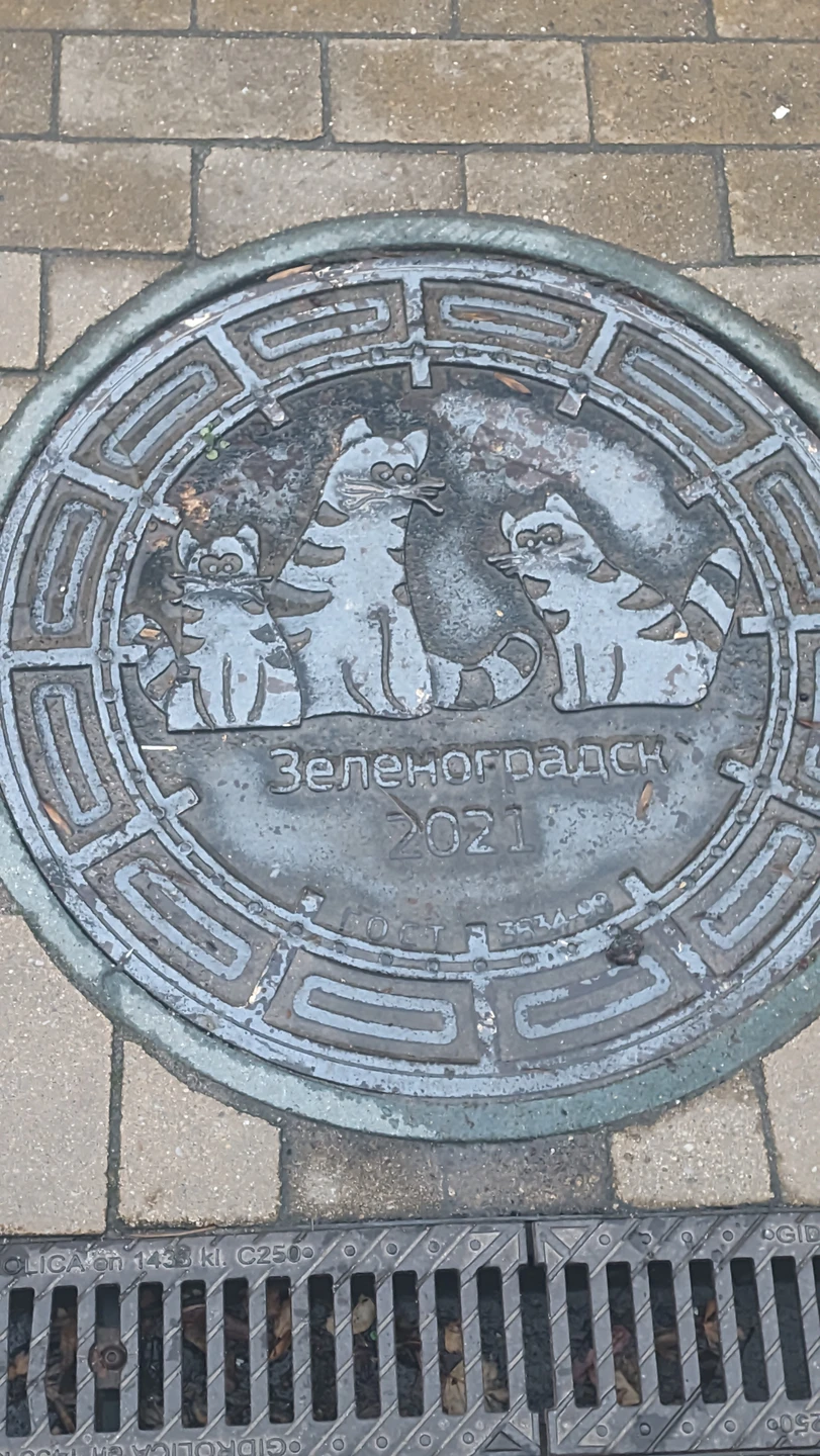 Очень понравилось