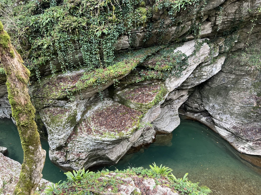 Прилетев в Сочи, очень захотелось посмотреть за пару тройку дней все и сразу🤣, и лучшим решением