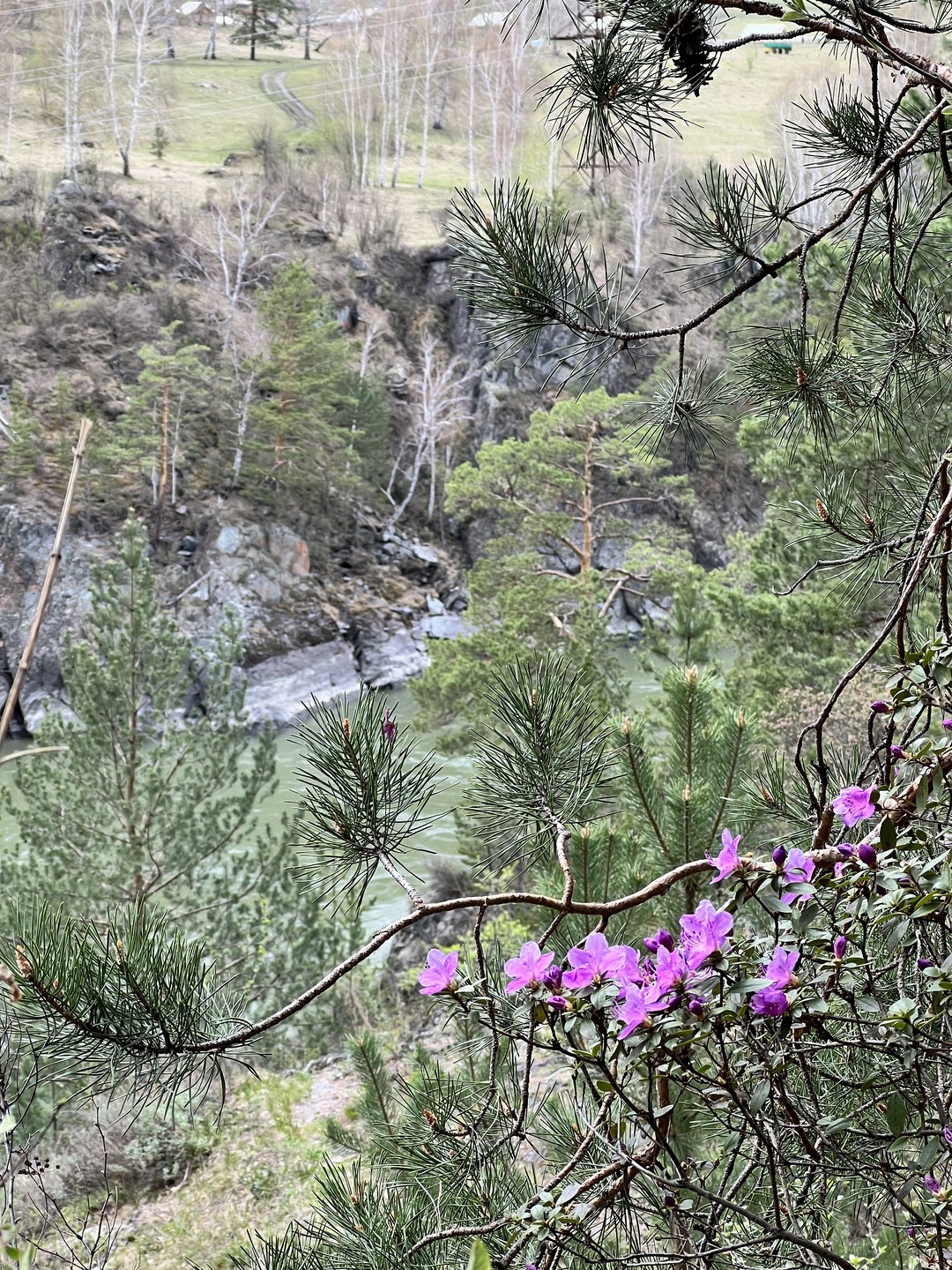 Алтай прекрасен, как всегда, в любую погоду. Только нужно быть готовым к переменам погоды. Гид Аркадий