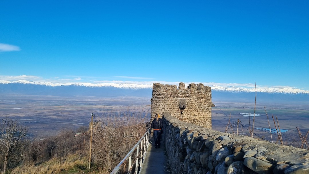 Давид замечательно проводит экскурсии. Он отличный рассказчик, хороший водитель. Очень коммуникабельный и разносторонний человек. Предложит изменение
