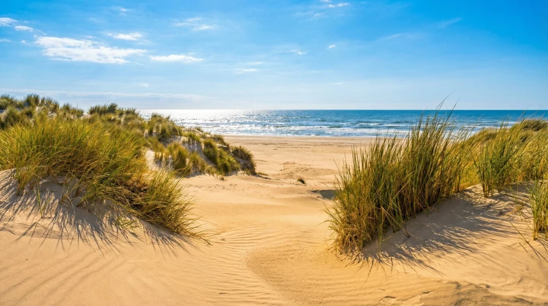 Куршская коса и Зеленоградск: песчаная катастрофа, планеризм и крайбитеры