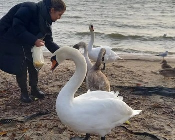 Куршская коса и Танцующий лес, посёлок Рыбачий и Зеленоградск