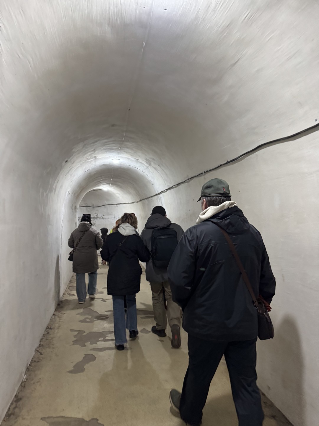 Из Санкт-Петербурга в Петергоф и Кронштадт: 2 города за 1 день (Андрей)