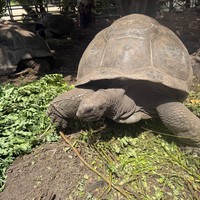 Фото отзыва 2: экскурсия "Сейшелы: один день в раю"